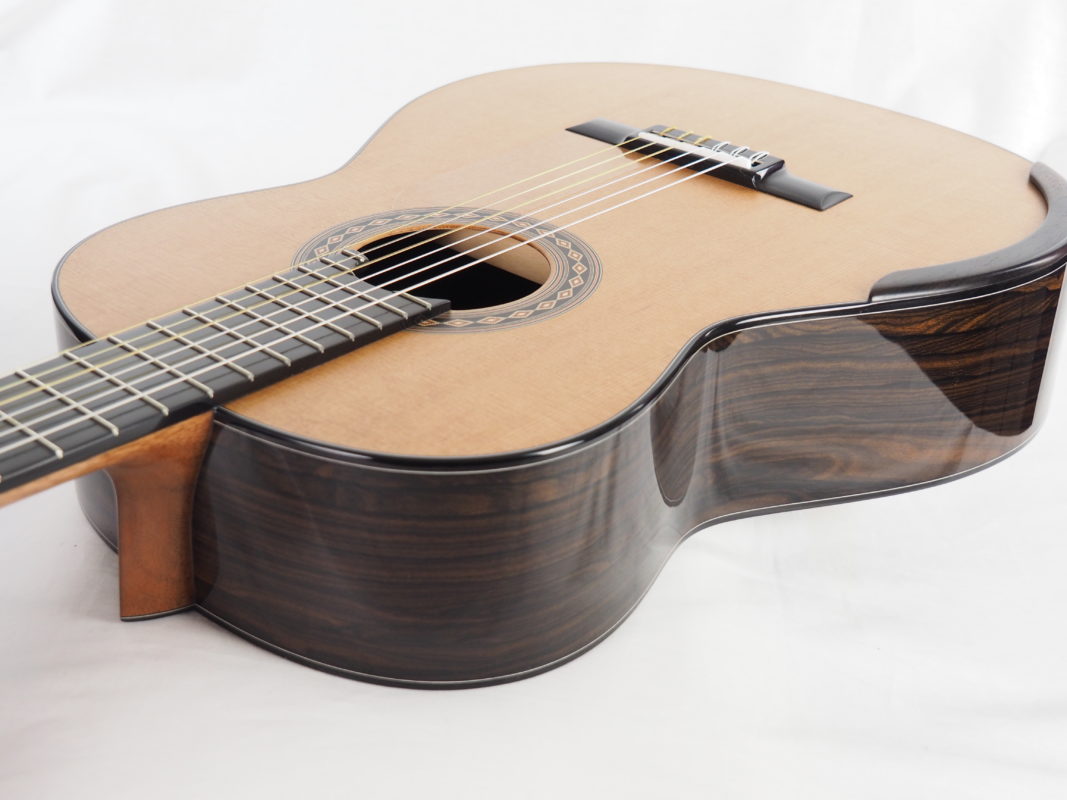Classical concert guitar