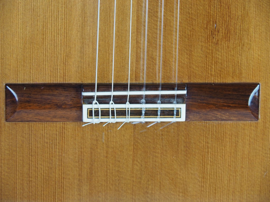 Classical concert guitar