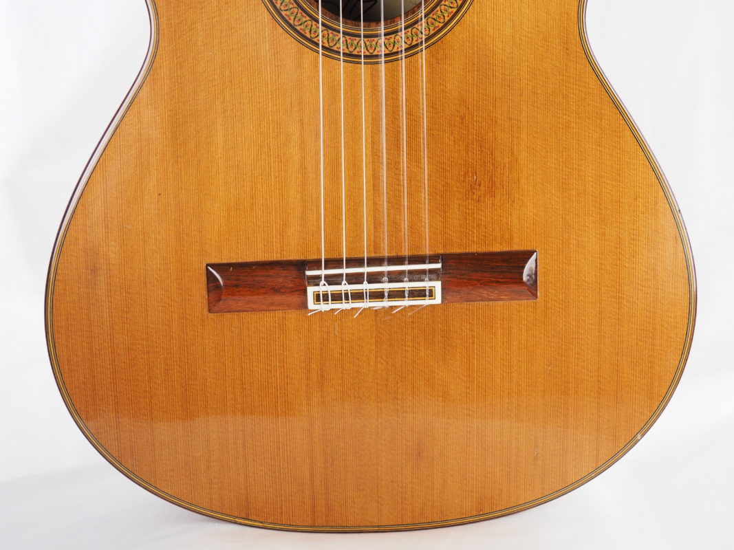 Classical concert guitar