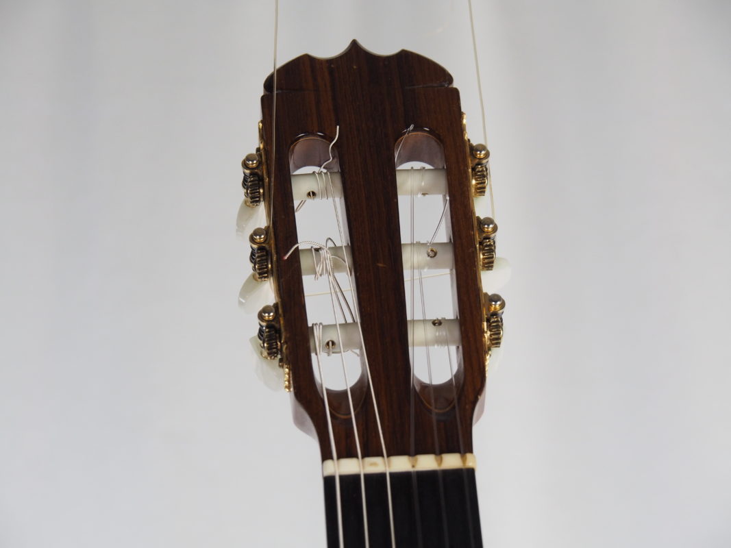 Classical concert guitar