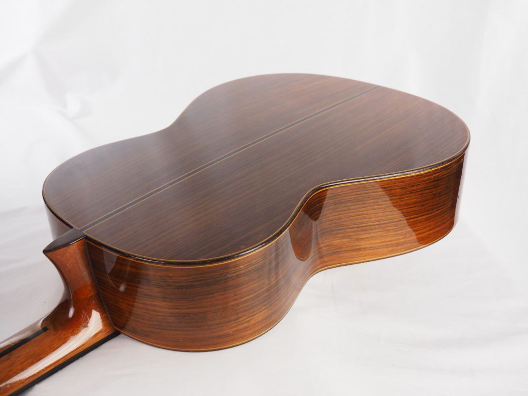 Classical concert guitar