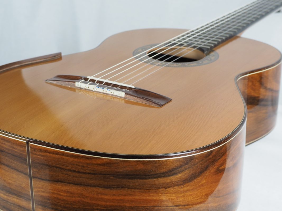 Classical concert guitar