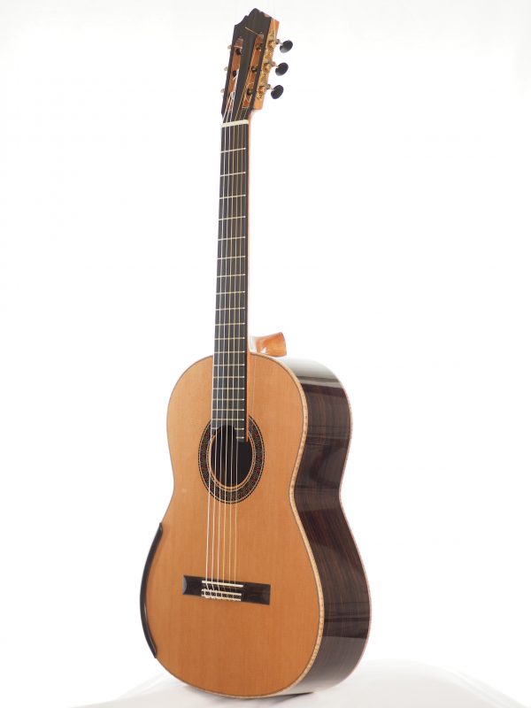 Classical concert guitar