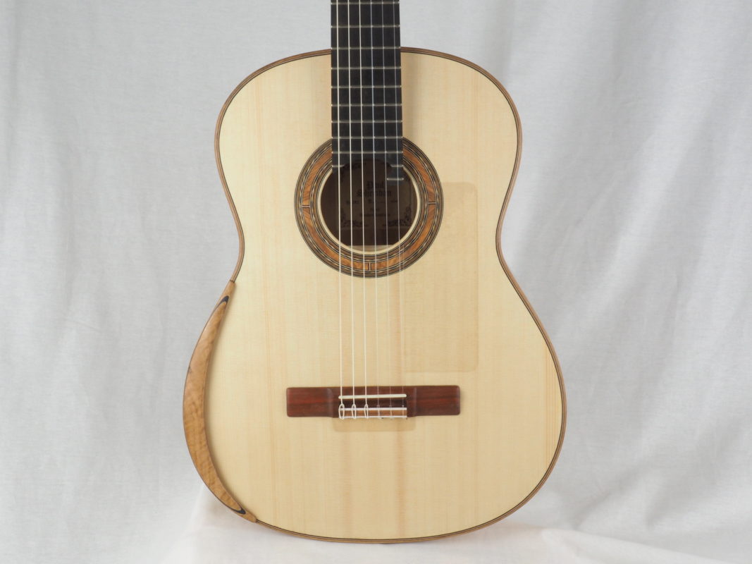 Classical concert guitar