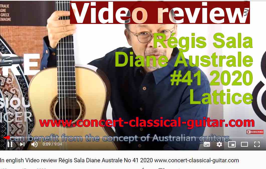 Classical concert guitar