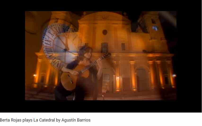 Classical concert guitar