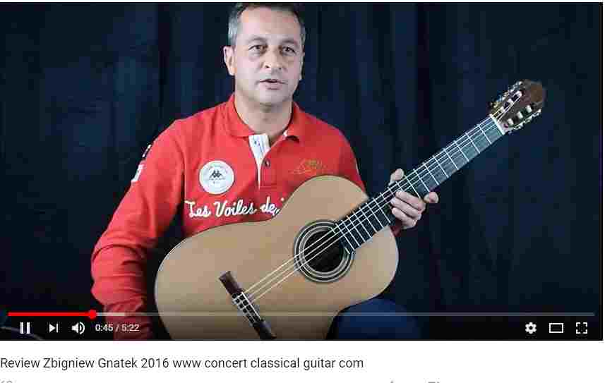 Classical concert guitar