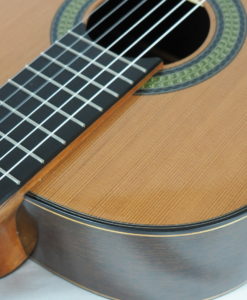 Classical guitar luthier Reza Safavian