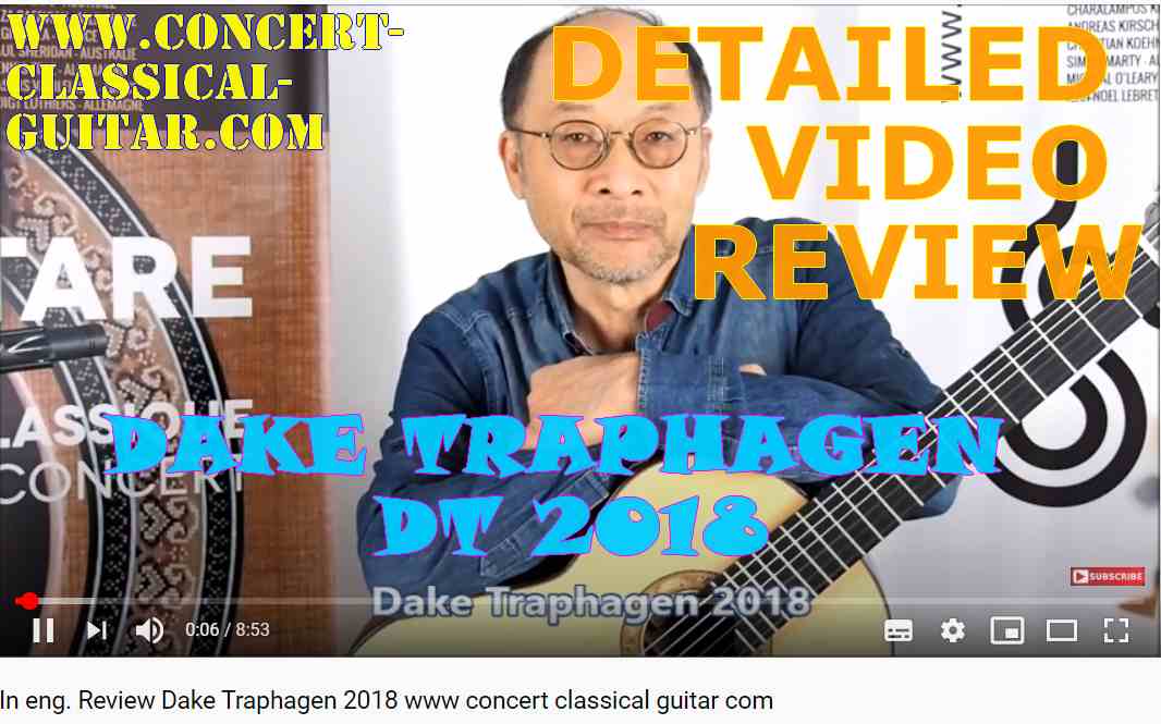 Classical concert guitar