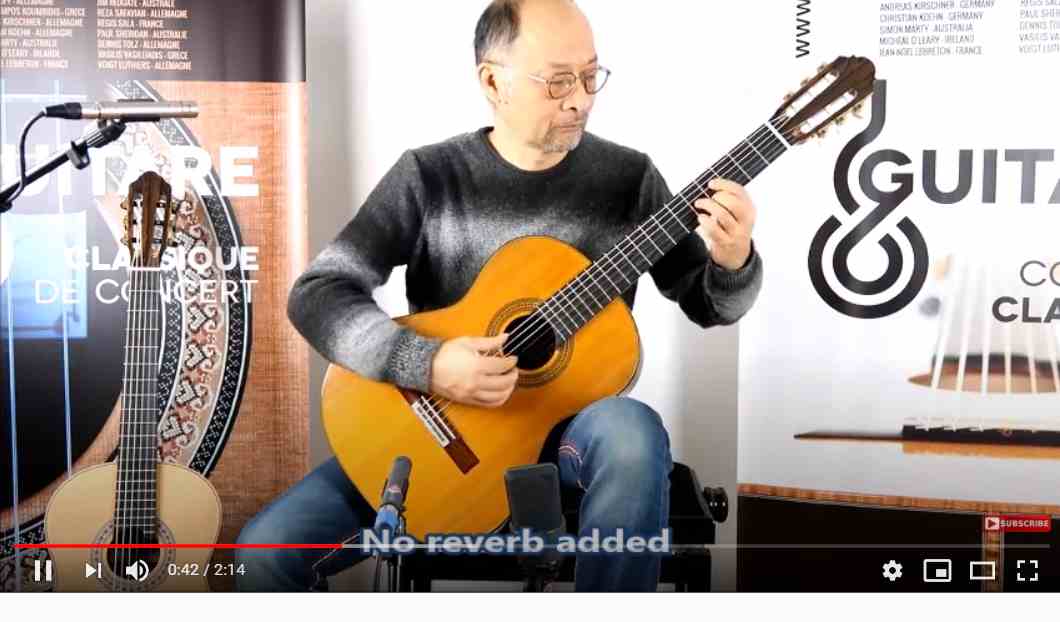 Classical concert guitar