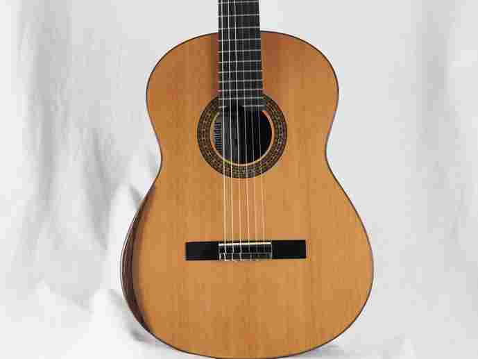 Classical concert guitar