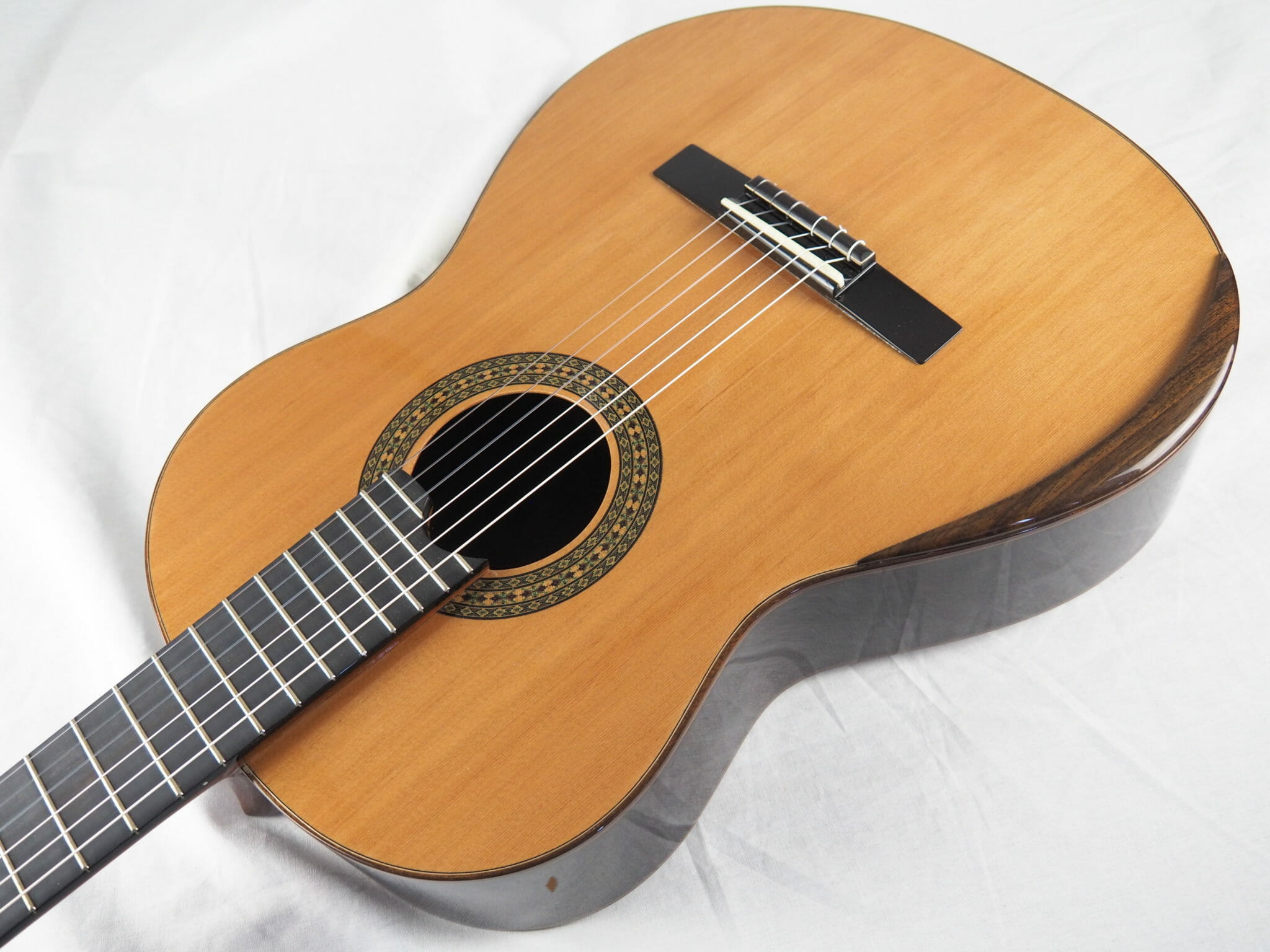 Video review of the 2020 DT #550 guitar from Jan Schneider – Czech Rep ...