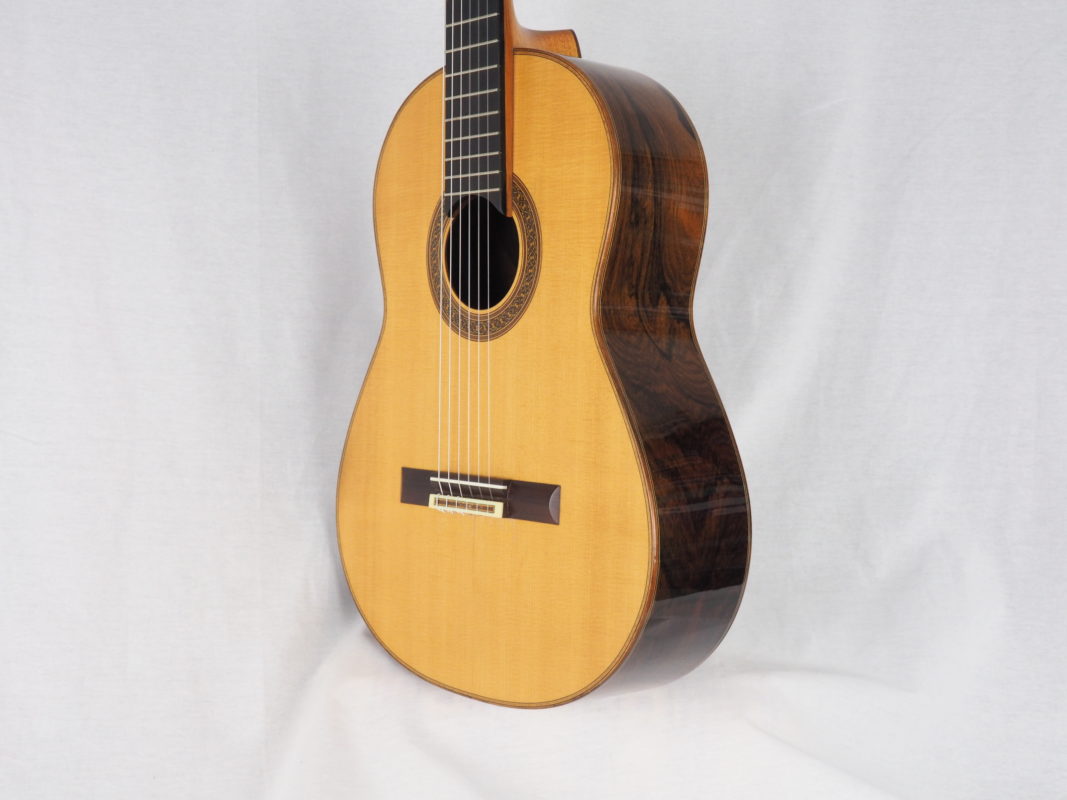 Classical concert guitar