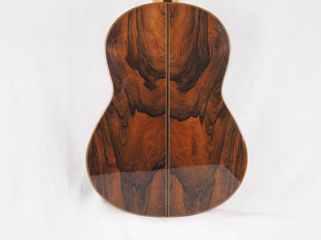 Classical concert guitar