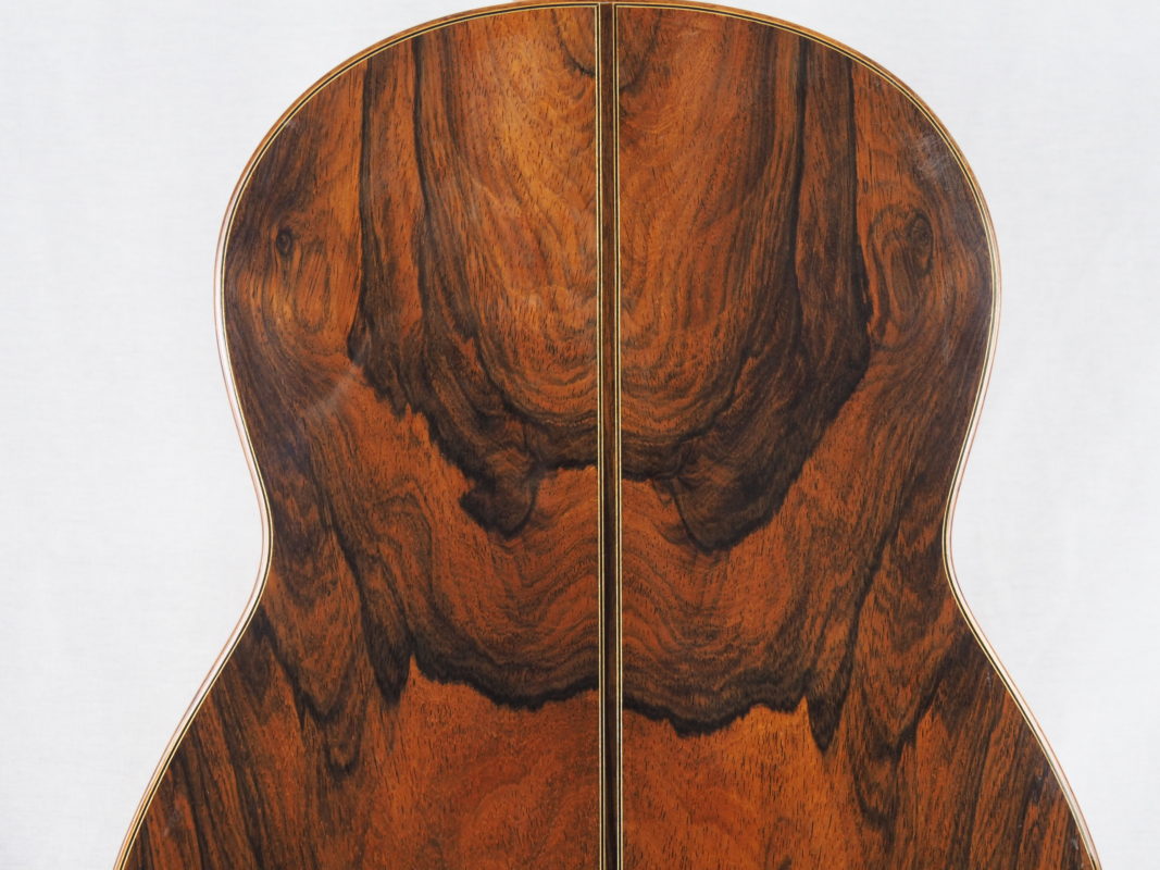 Classical concert guitar