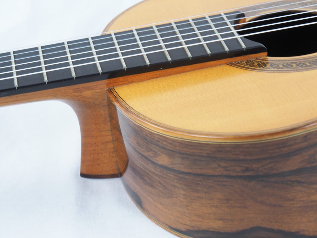 Classical concert guitar