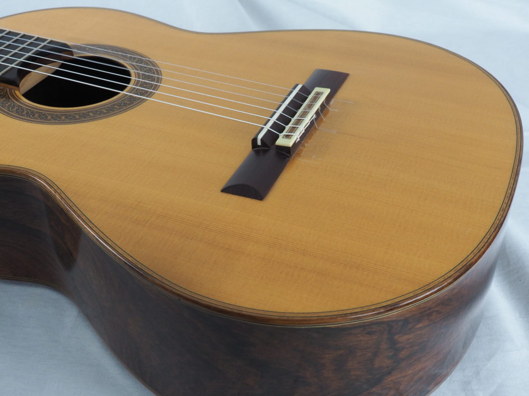 Classical concert guitar