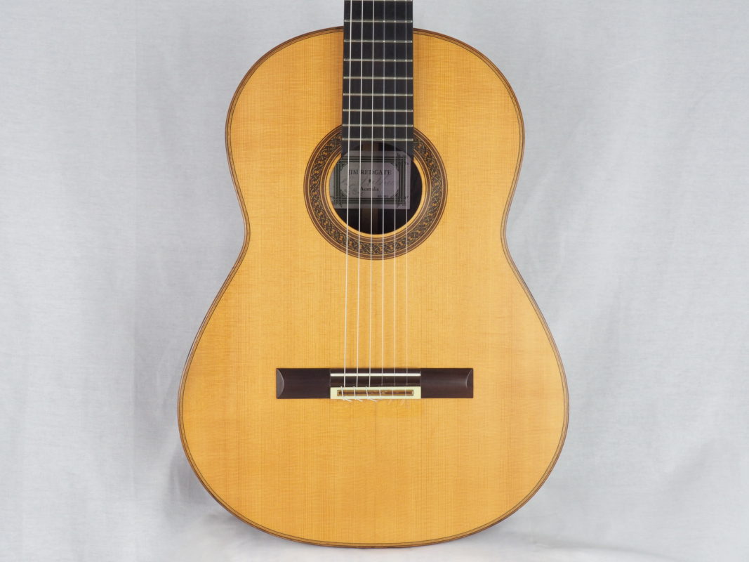 Classical concert guitar