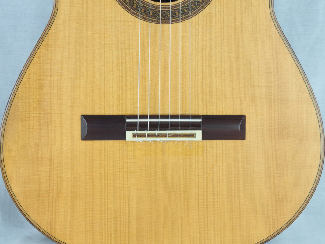 Classical concert guitar