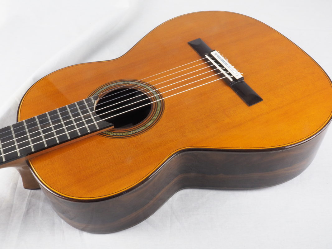 Classical concert guitar