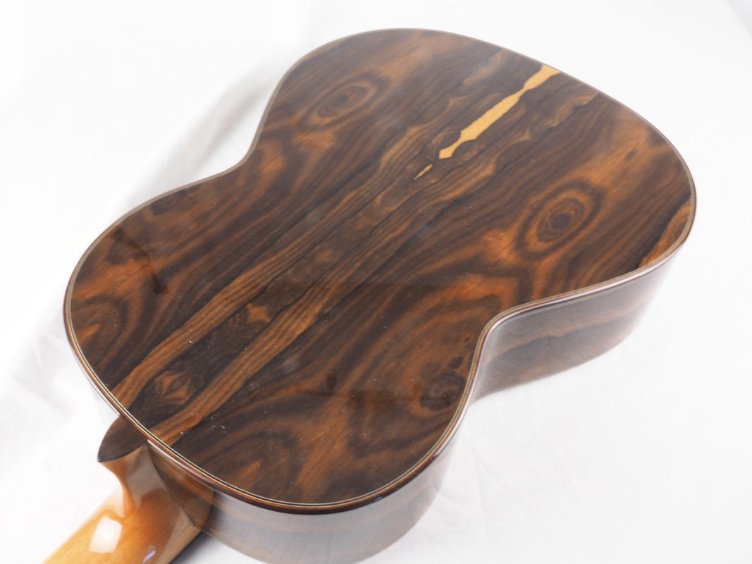 Classical concert guitar