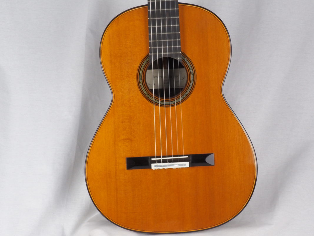 Classical concert guitar