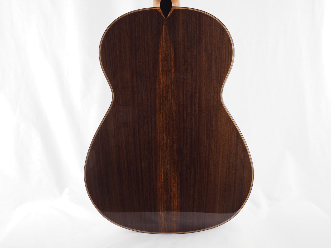 Classical concert guitar