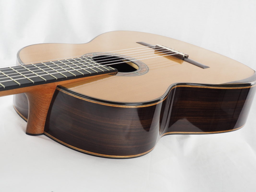 Classical concert guitar
