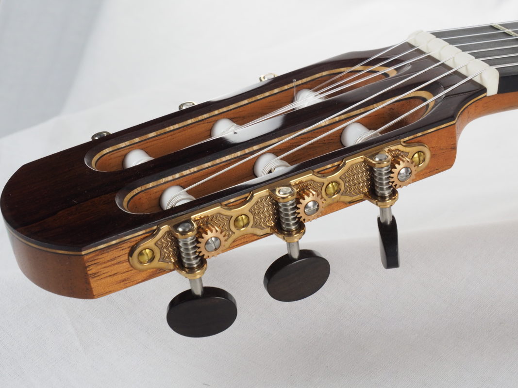 Classical concert guitar