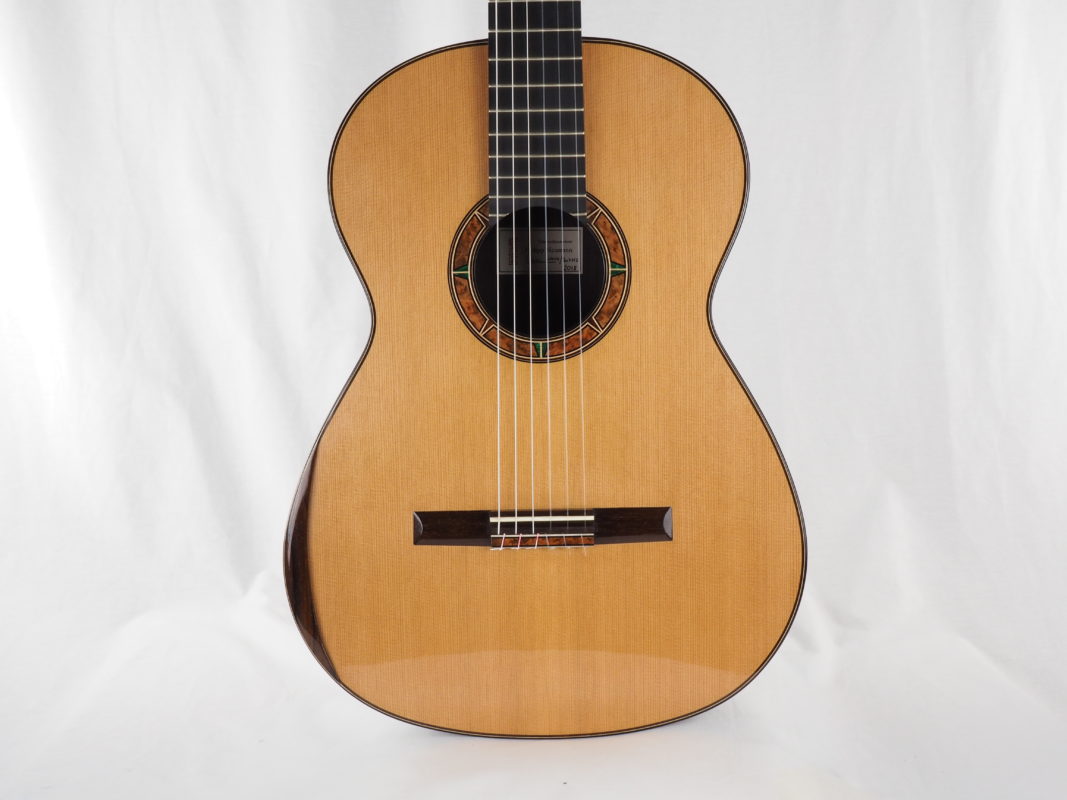 Classical concert guitar