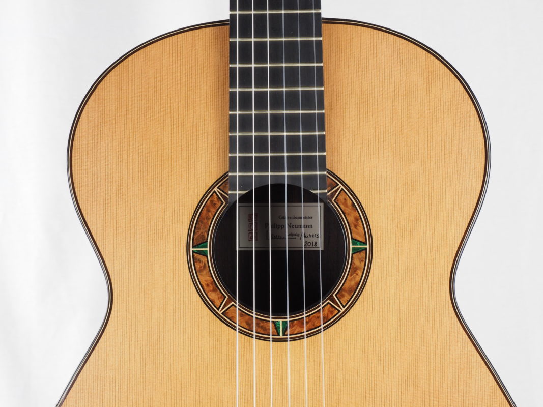 Classical concert guitar