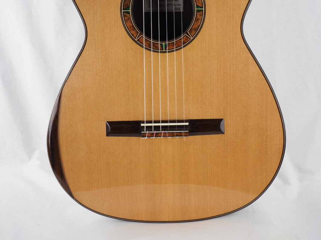 Classical concert guitar