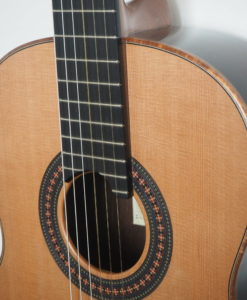 Robin Moyes classical guitar luthier