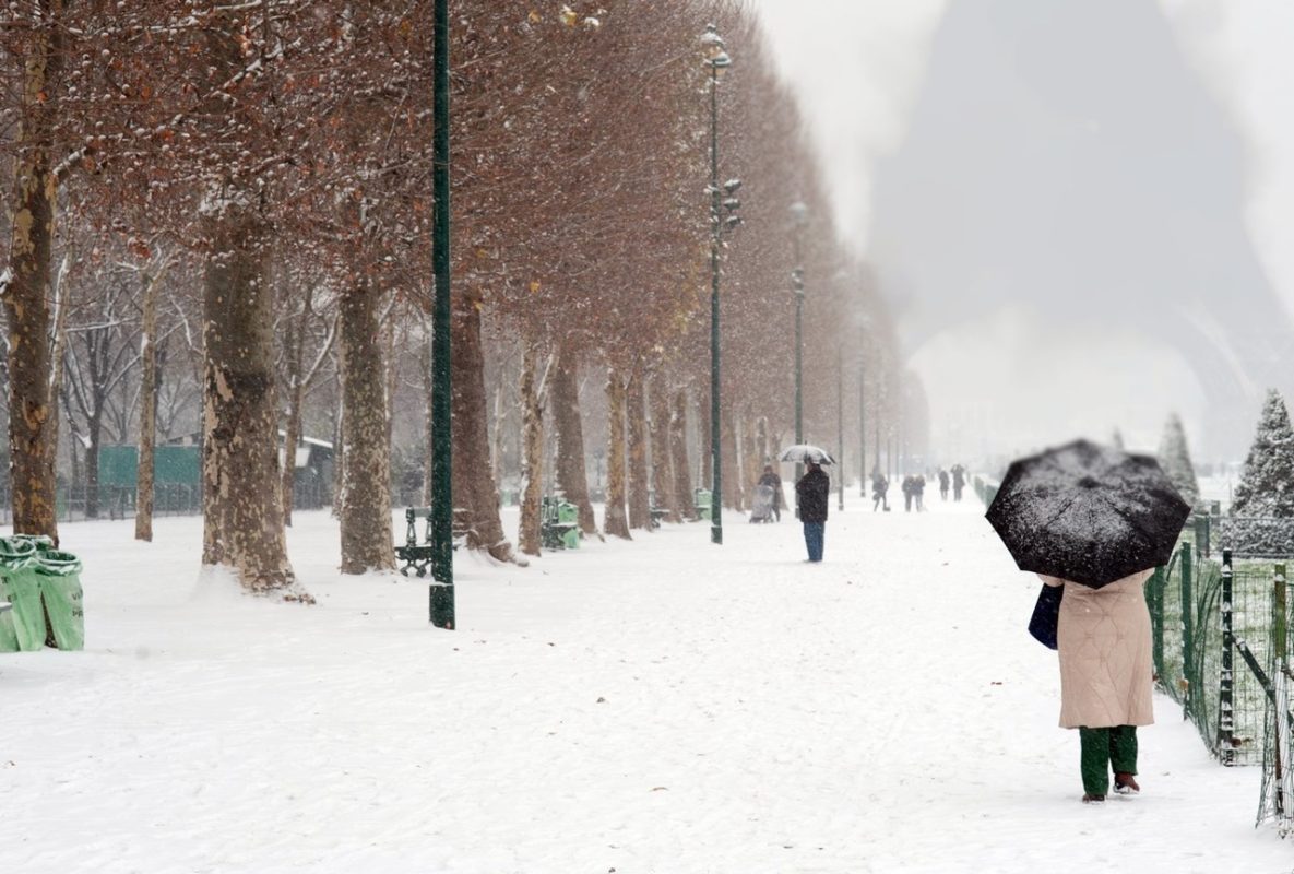 Classical concert guitar