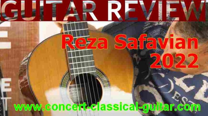 review-safavian-2022